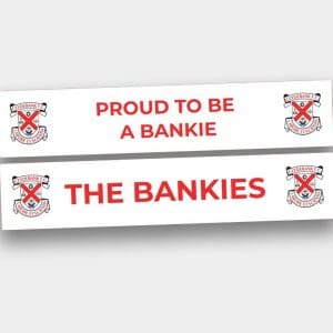 Car Window Stickers (Set of 2)